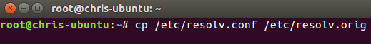 linux%20dns%20setup%20via%20terminal%20copy%20resolv%20file.png