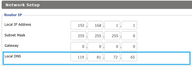 Local DNS